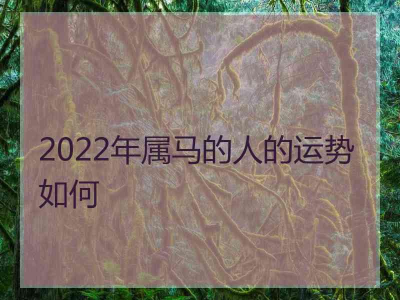 2022年属马的人的运势如何