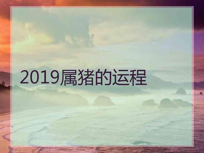 2019属猪的运程