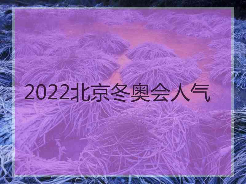 2022北京冬奥会人气