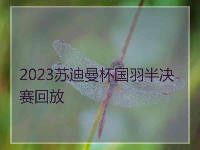 2023苏迪曼杯国羽半决赛回放