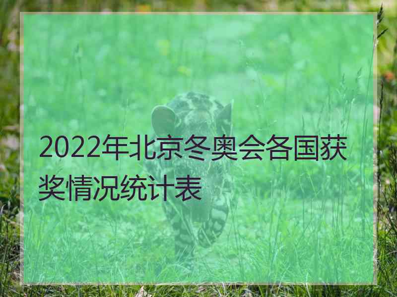 2022年北京冬奥会各国获奖情况统计表