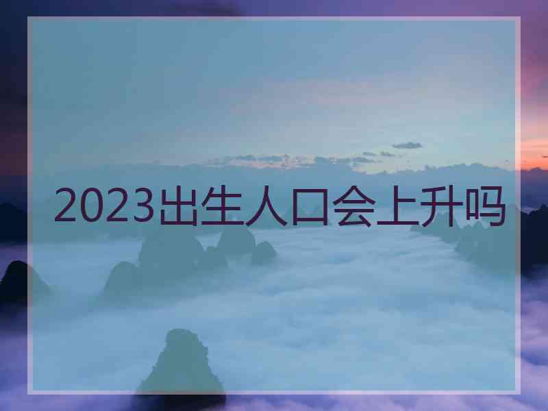 2023出生人口会上升吗