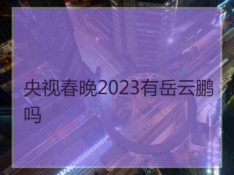 央视春晚2023有岳云鹏吗