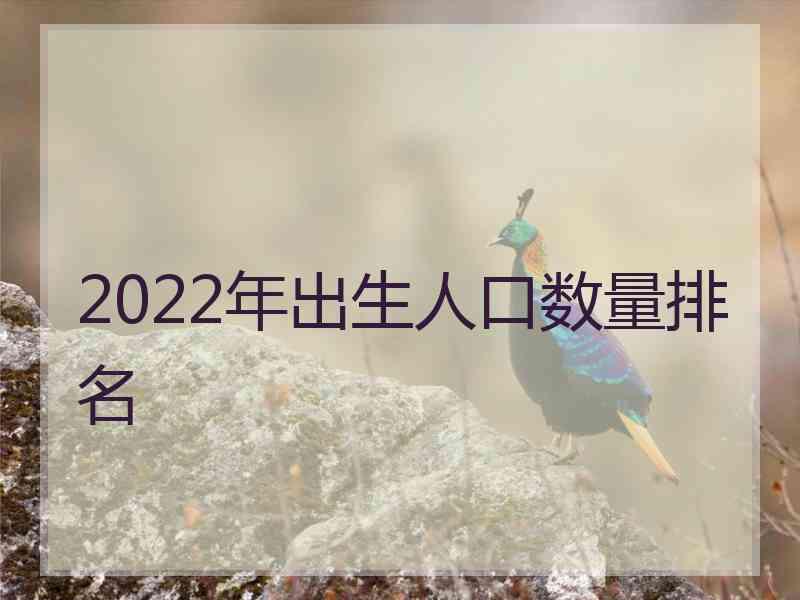 2022年出生人口数量排名