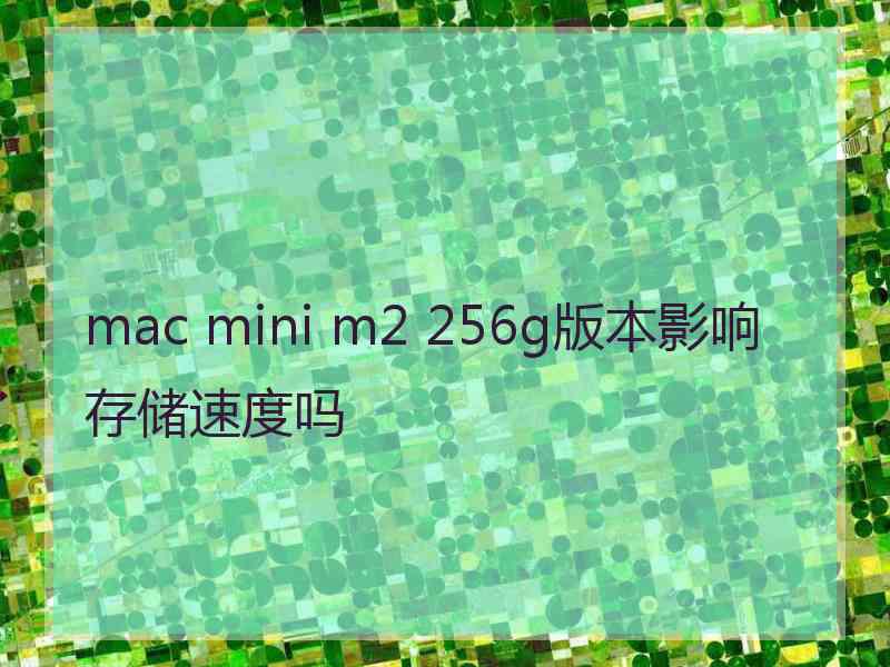 mac mini m2 256g版本影响存储速度吗