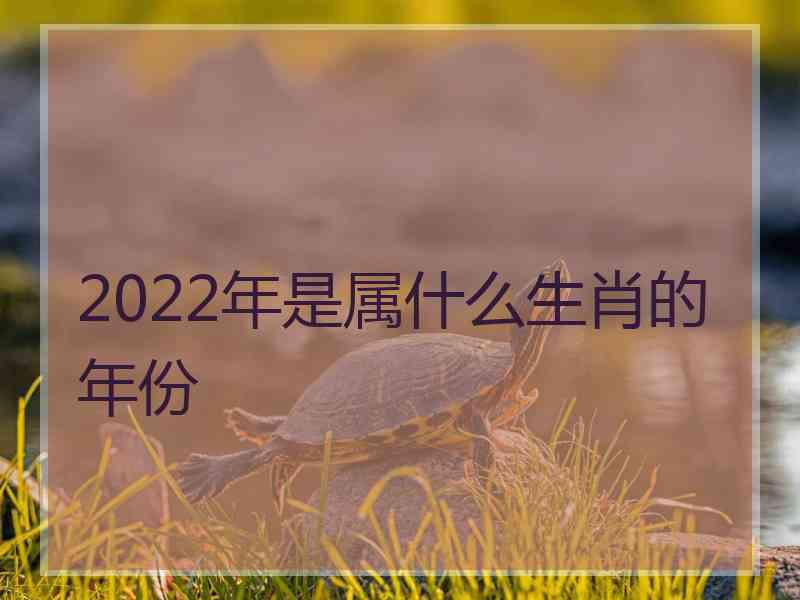 2022年是属什么生肖的年份