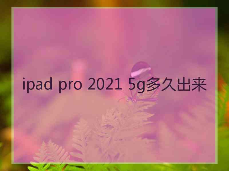 ipad pro 2021 5g多久出来