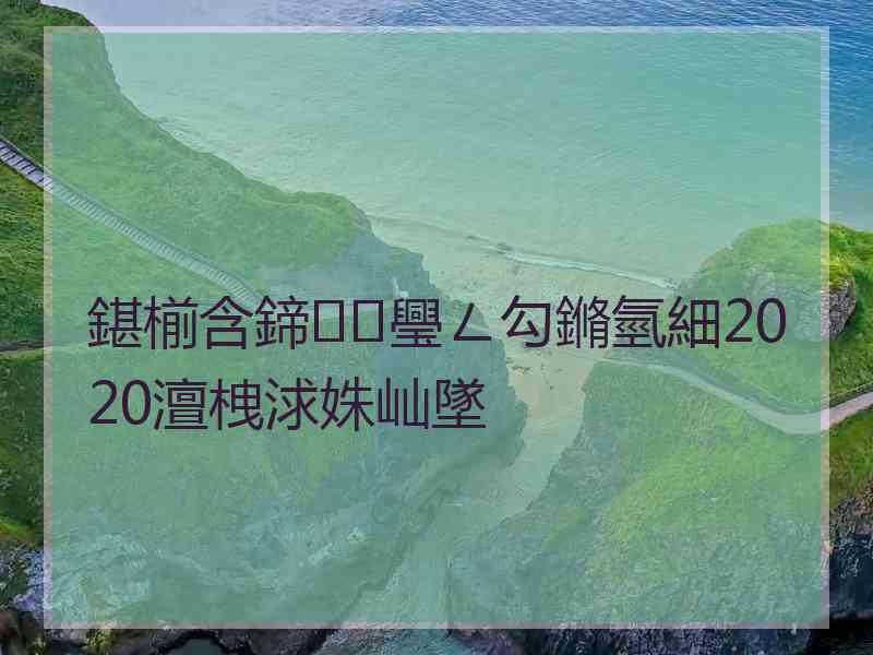 鍖椾含鍗璺ㄥ勾鏅氫細2020澶栧浗姝屾墜