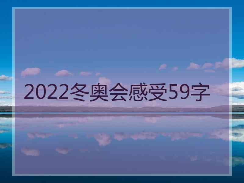 2022冬奥会感受59字