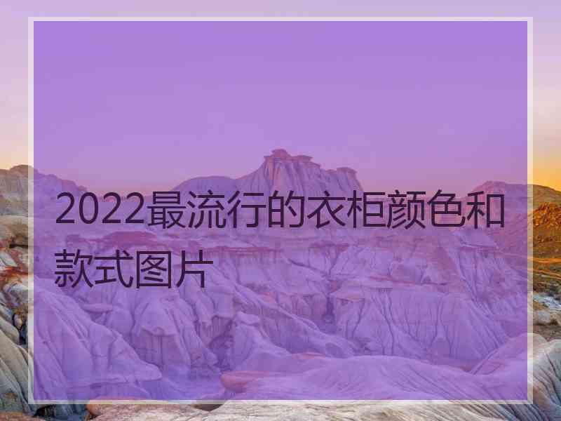 2022最流行的衣柜颜色和款式图片