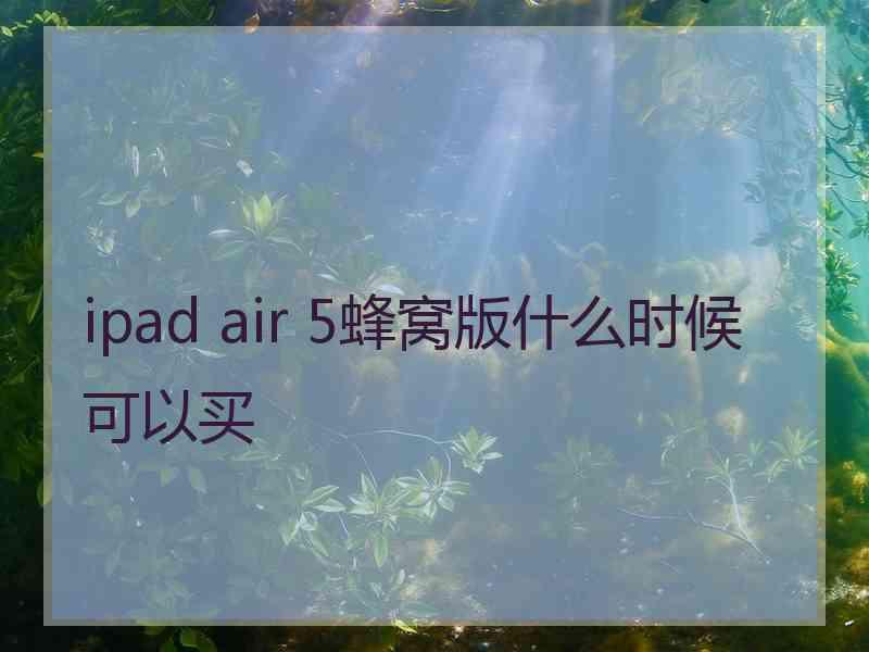 ipad air 5蜂窝版什么时候可以买