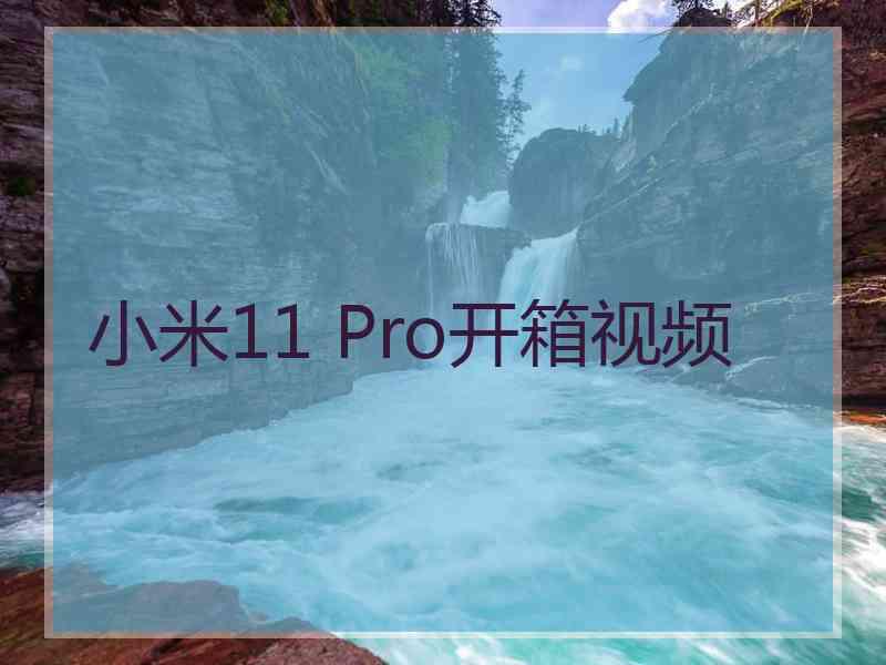 小米11 Pro开箱视频