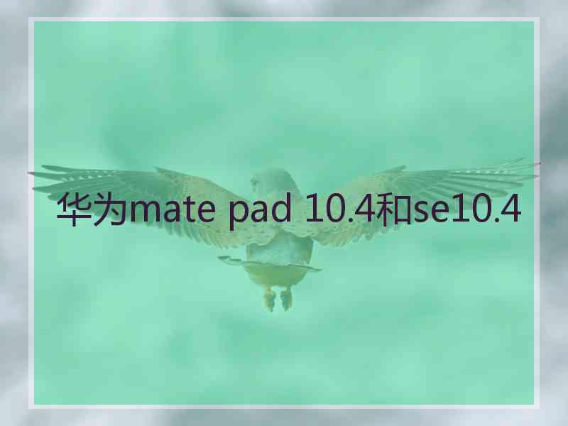 华为mate pad 10.4和se10.4