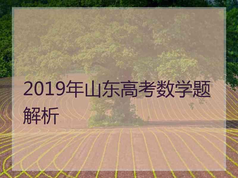 2019年山东高考数学题解析