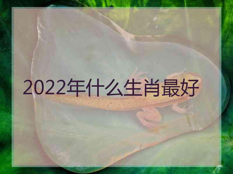 2022年什么生肖最好