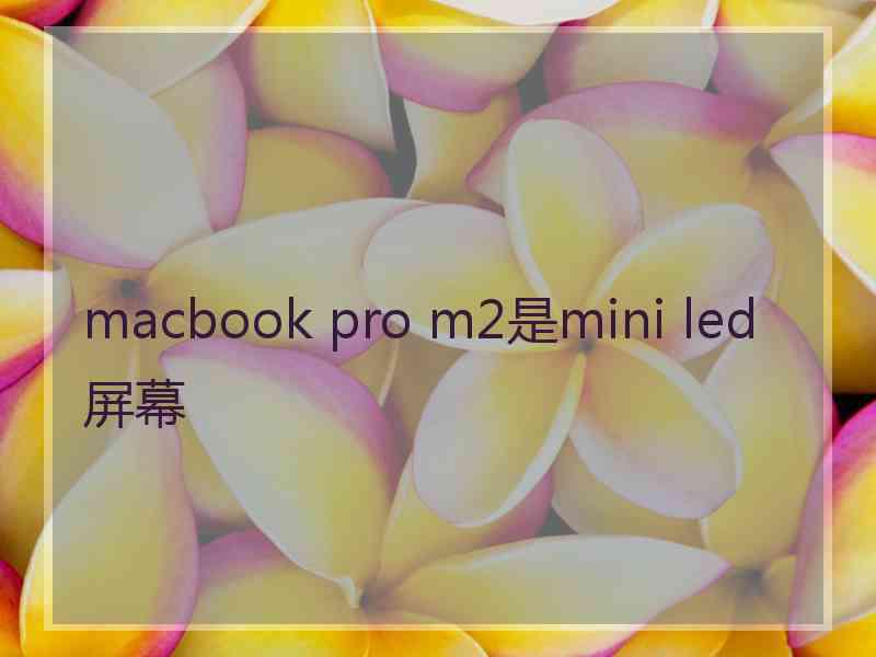 macbook pro m2是mini led屏幕