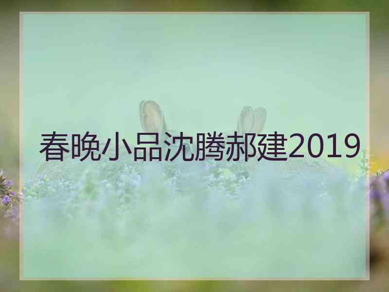 春晚小品沈腾郝建2019