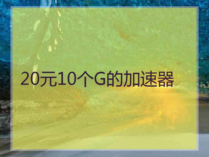 20元10个G的加速器