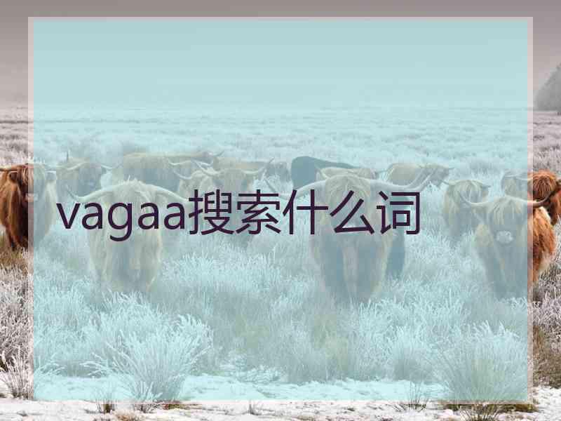 vagaa搜索什么词