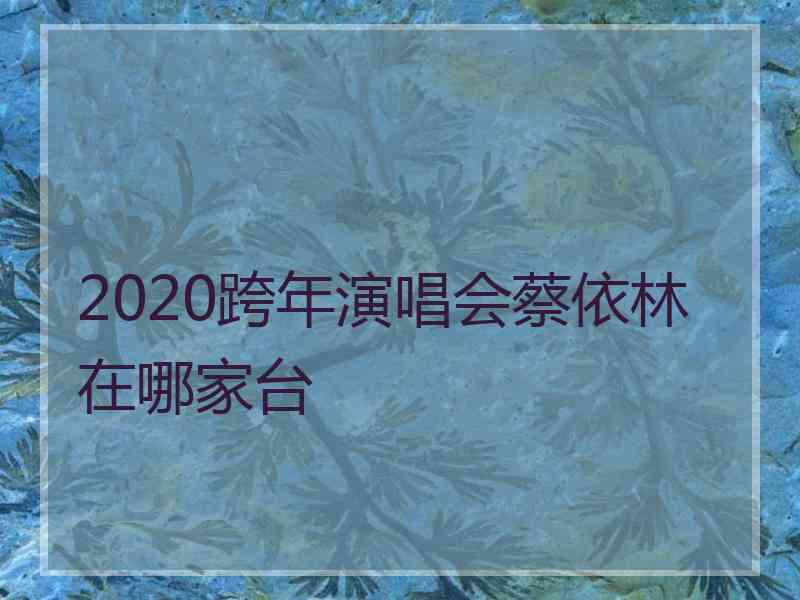 2020跨年演唱会蔡依林在哪家台