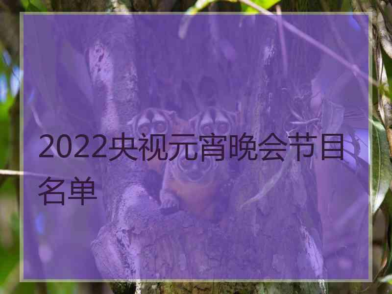 2022央视元宵晚会节目名单