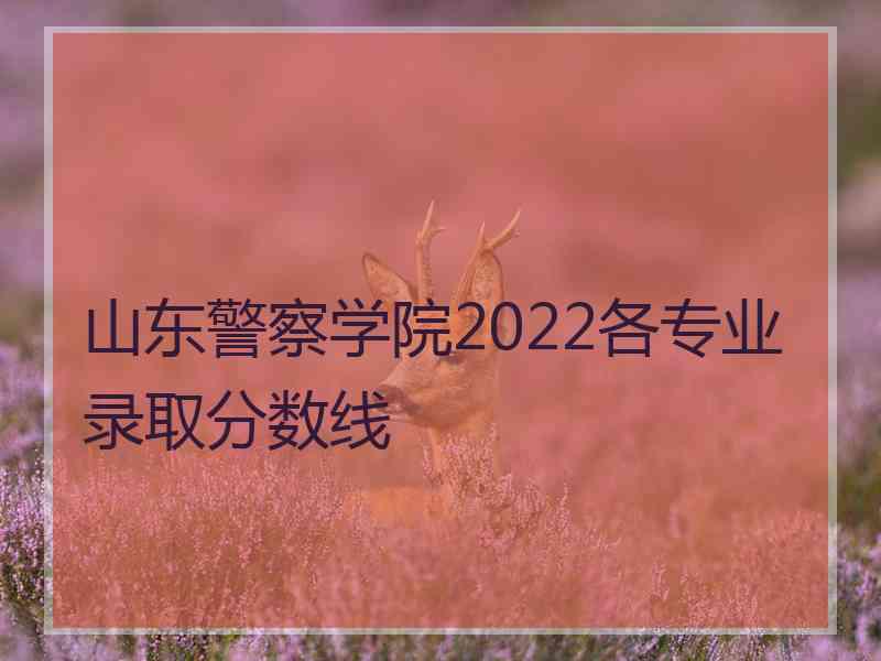 山东警察学院2022各专业录取分数线