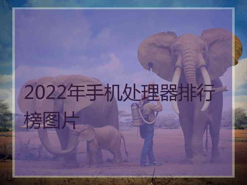 2022年手机处理器排行榜图片