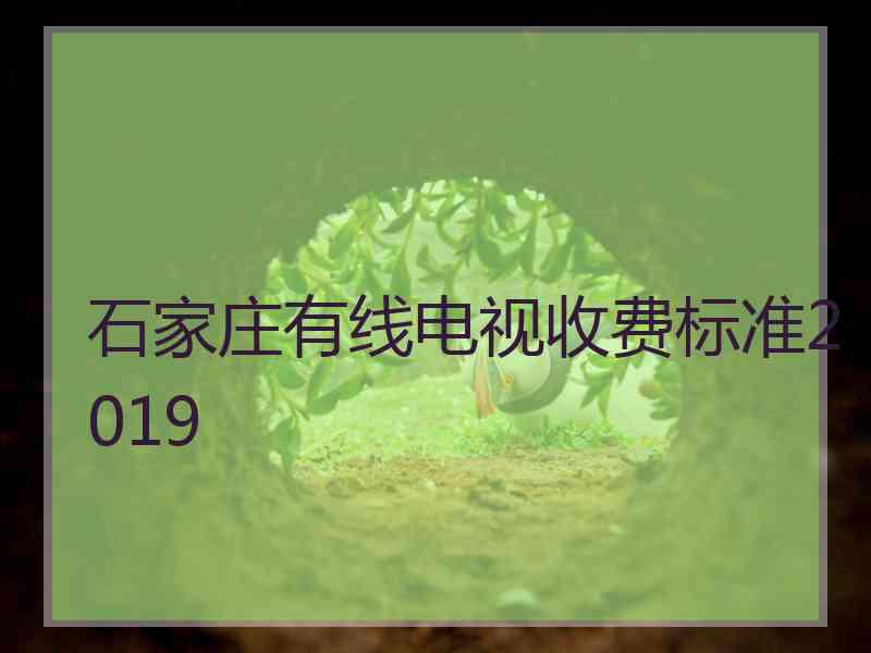 石家庄有线电视收费标准2019