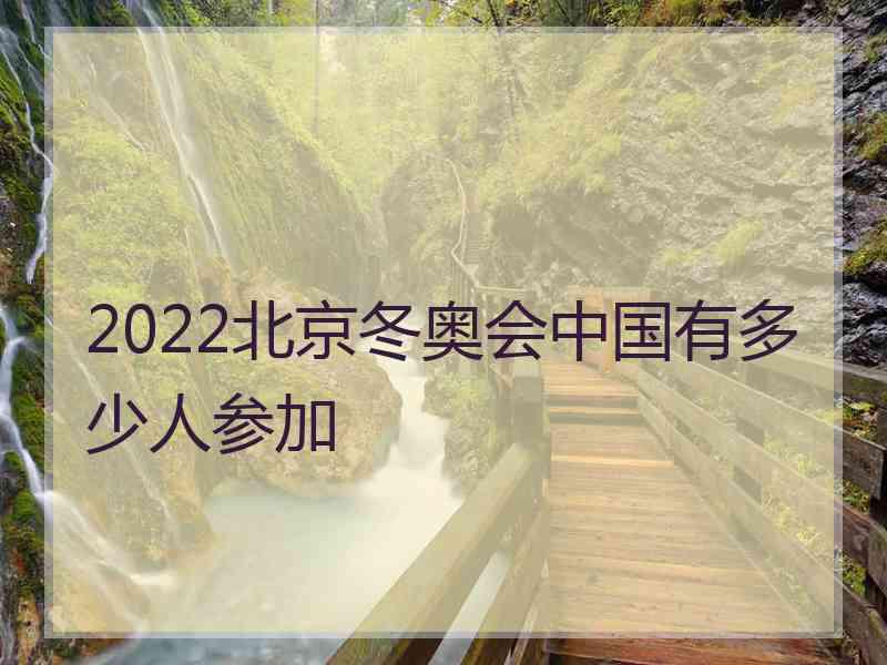 2022北京冬奥会中国有多少人参加