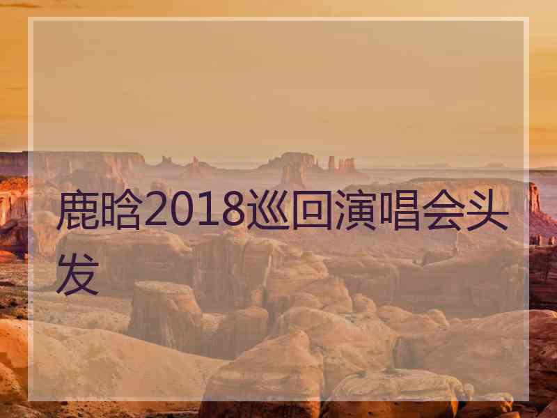 鹿晗2018巡回演唱会头发