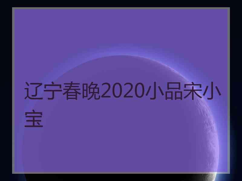 辽宁春晚2020小品宋小宝