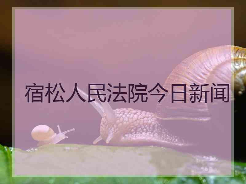 宿松人民法院今日新闻