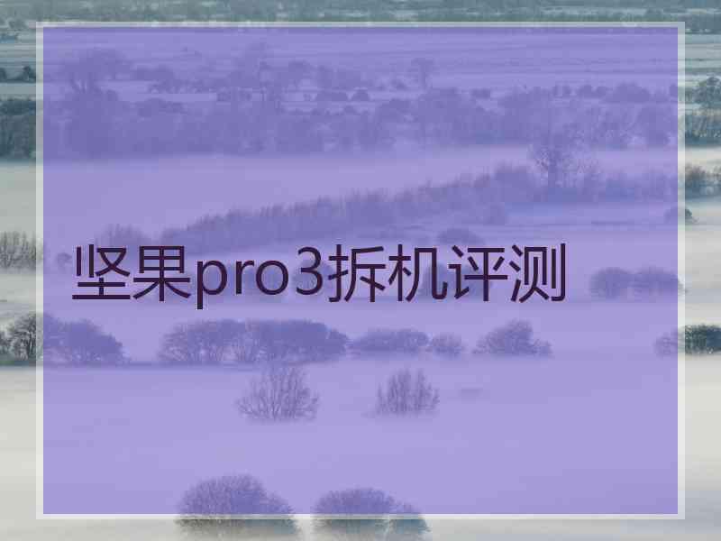 坚果pro3拆机评测