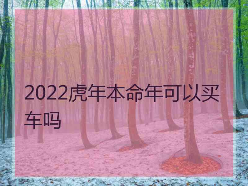 2022虎年本命年可以买车吗