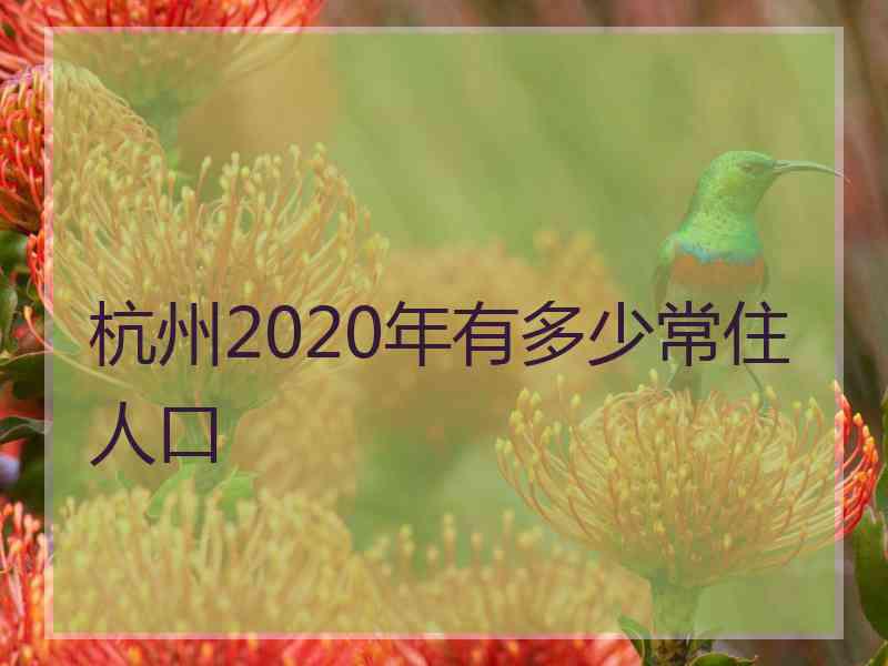 杭州2020年有多少常住人口