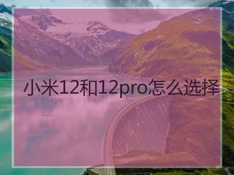 小米12和12pro怎么选择