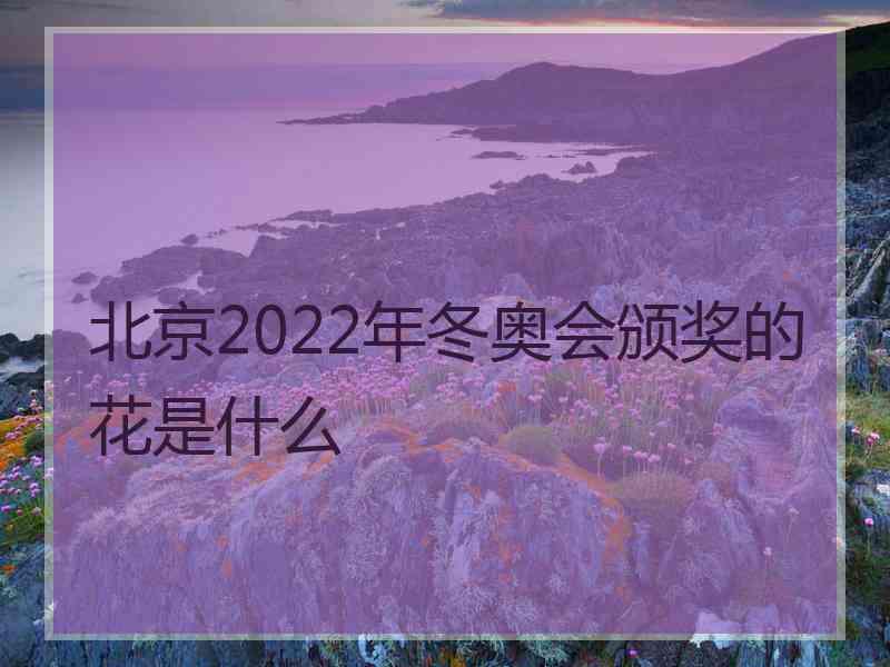 北京2022年冬奥会颁奖的花是什么