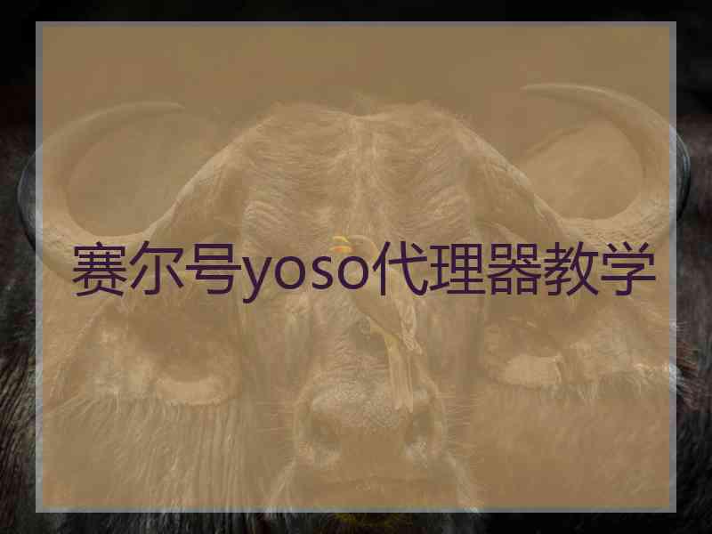 赛尔号yoso代理器教学