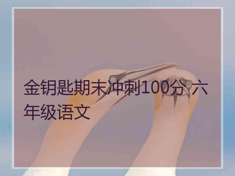 金钥匙期末冲刺100分 六年级语文