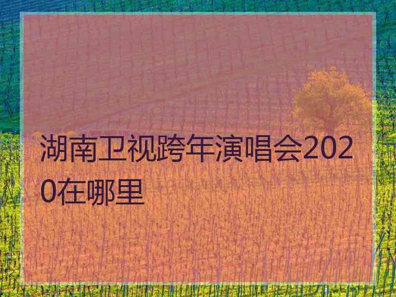 湖南卫视跨年演唱会2020在哪里