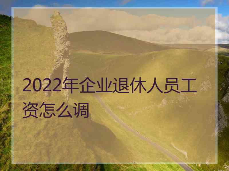 2022年企业退休人员工资怎么调