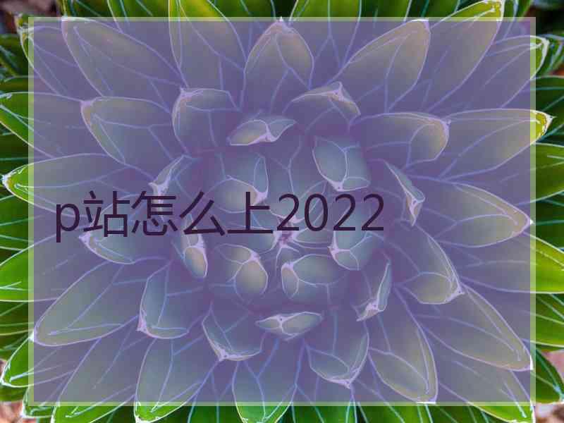 p站怎么上2022