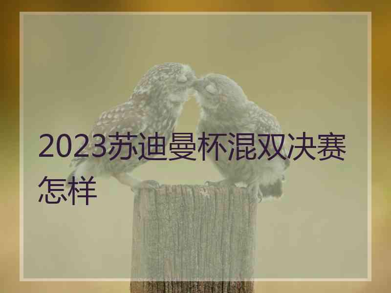 2023苏迪曼杯混双决赛怎样