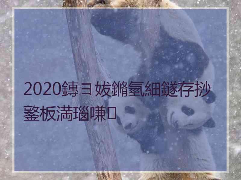 2020鏄ヨ妭鏅氫細鐩存挱鐜板満瑙嗛