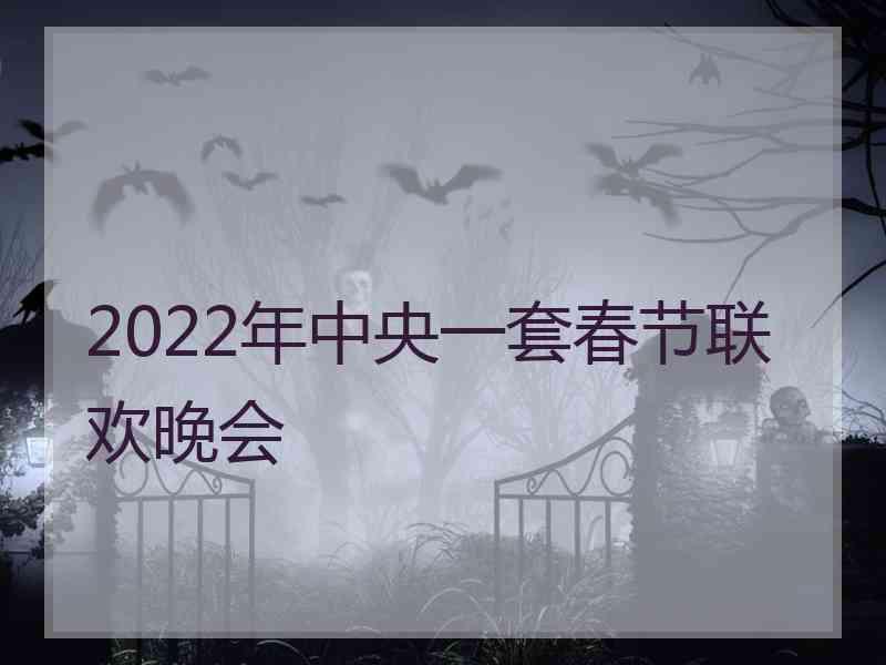 2022年中央一套春节联欢晚会