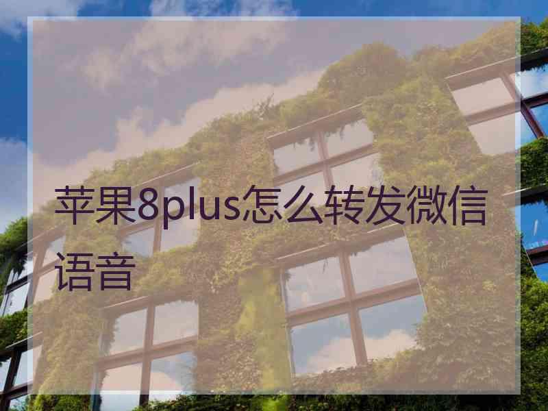 苹果8plus怎么转发微信语音