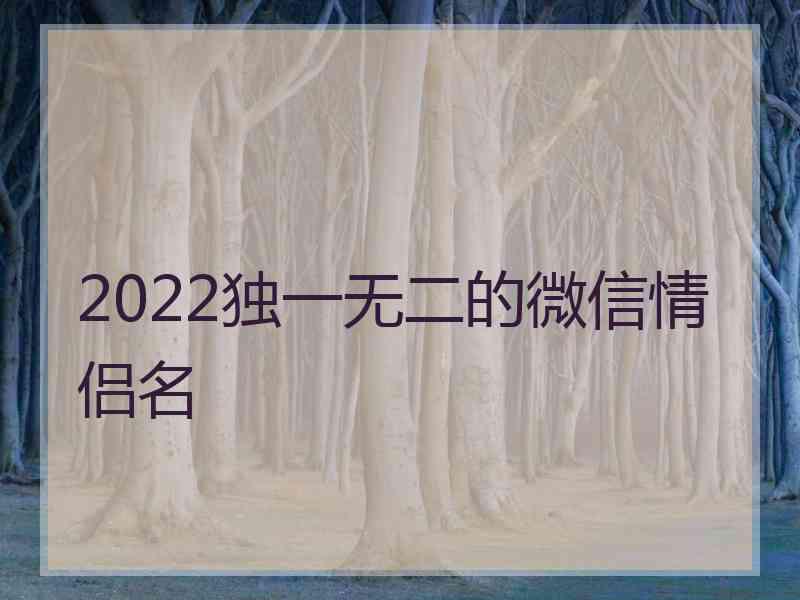 2022独一无二的微信情侣名