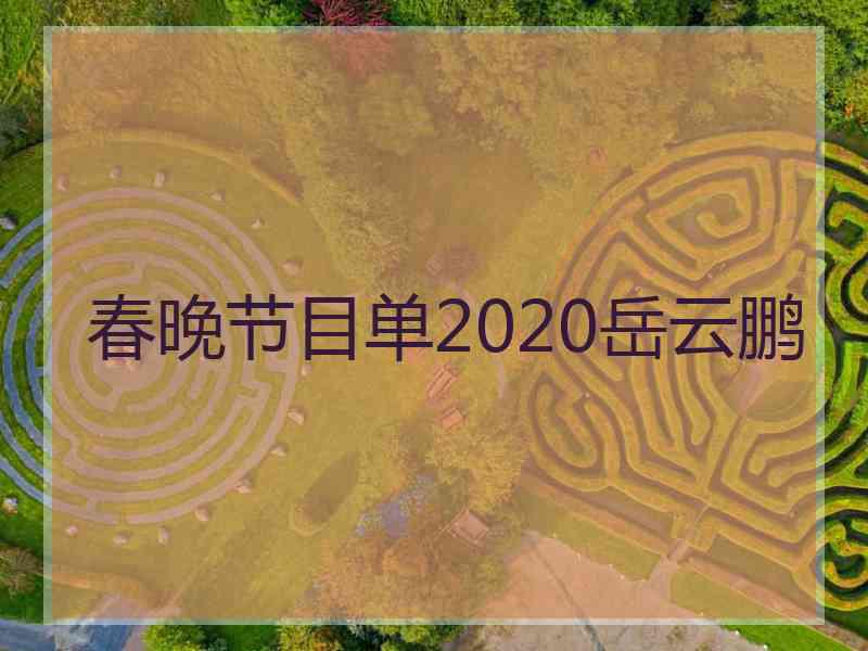 春晚节目单2020岳云鹏