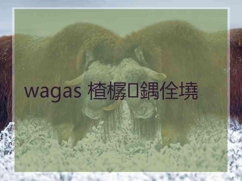 wagas 楂樼鍝佺墝