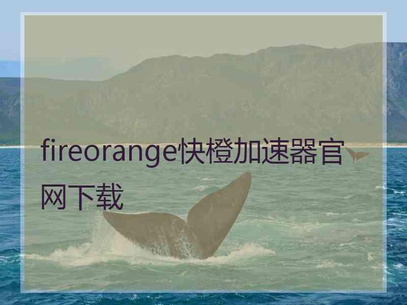 fireorange快橙加速器官网下载